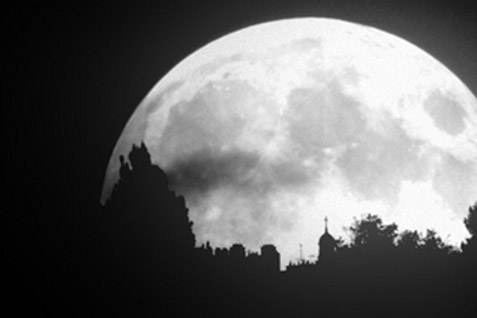  Studi Ungkap Bulan Purnama Pengaruhi Waktu Tidur Orang